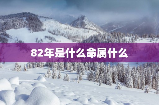 82年是什么命属什么