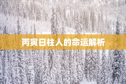 丙寅日柱人的命运解析