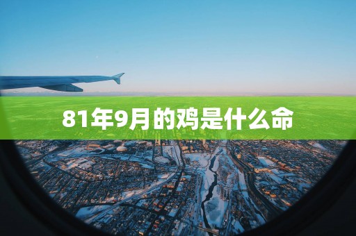 81年9月的鸡是什么命