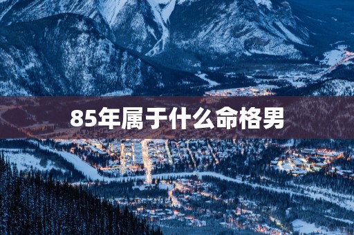 85年属于什么命格男