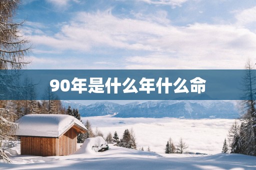 90年是什么年什么命