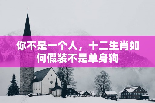 你不是一个人，十二生肖如何假装不是单身狗