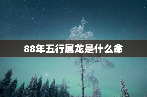 88年五行属龙是什么命