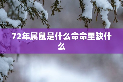 72年属鼠是什么命命里缺什么