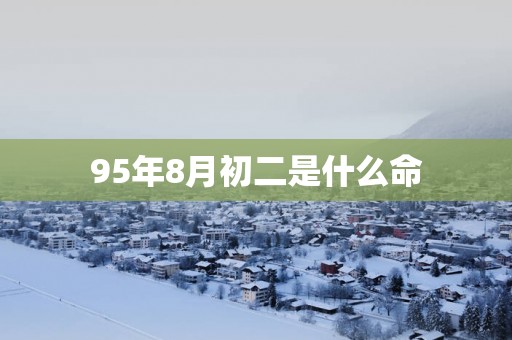 95年8月初二是什么命