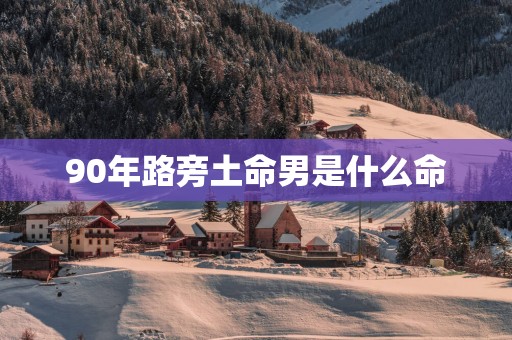 90年路旁土命男是什么命