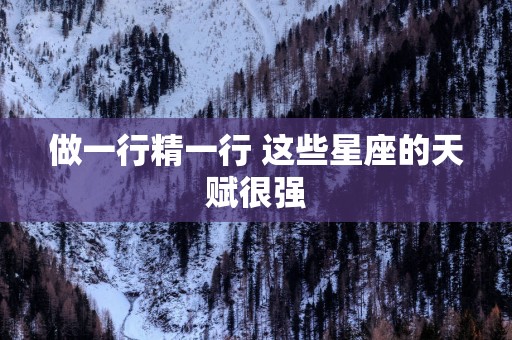 做一行精一行 这些星座的天赋很强
