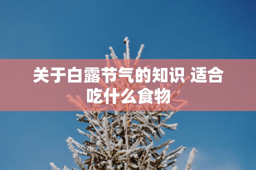 关于白露节气的知识 适合吃什么食物
