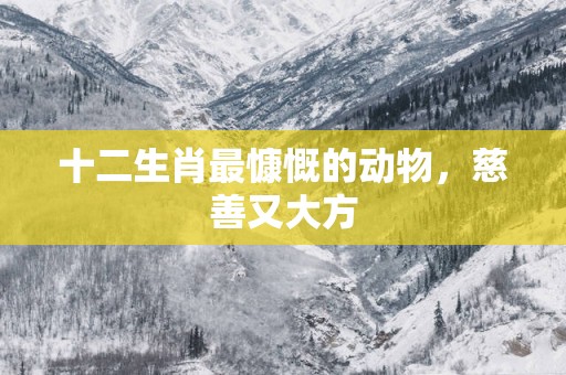十二生肖最慷慨的动物，慈善又大方