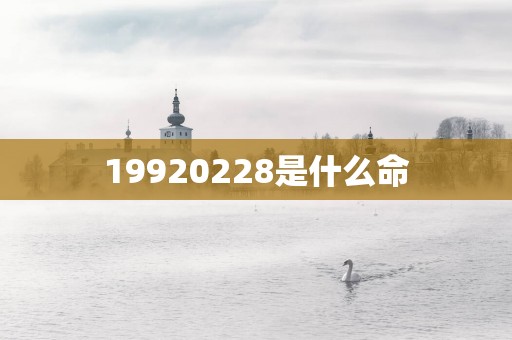 19920258是什么命