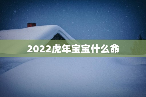 2025蛇年宝宝什么命