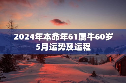 2025年本命年61属牛60岁5月运势及运程