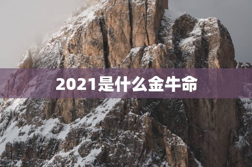 2025是什么金牛命