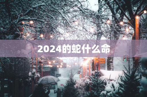 2025的蛇什么命
