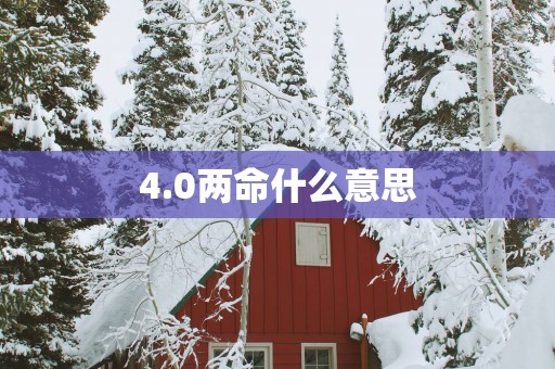 4.0两命什么意思