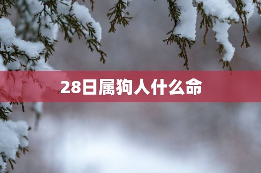 28日属狗人什么命
