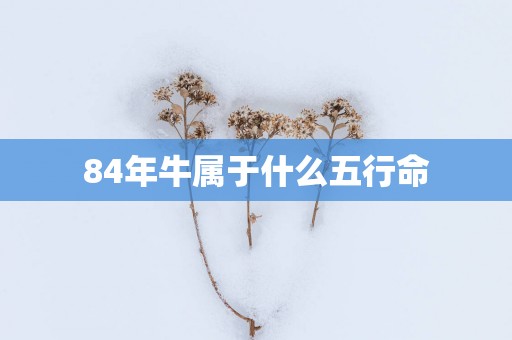 84年牛属于什么五行命