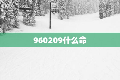 960209什么命