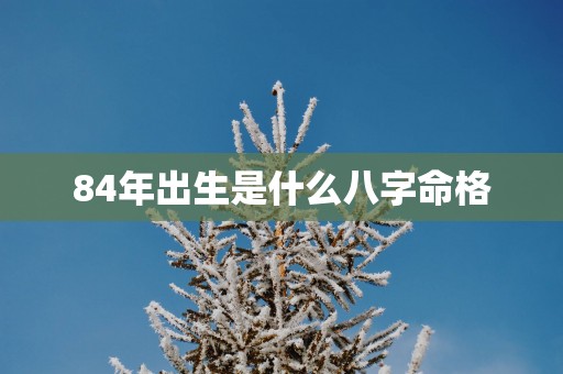 84年出生是什么八字命格