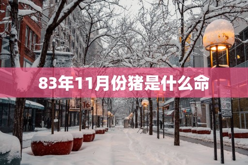 83年11月份猪是什么命