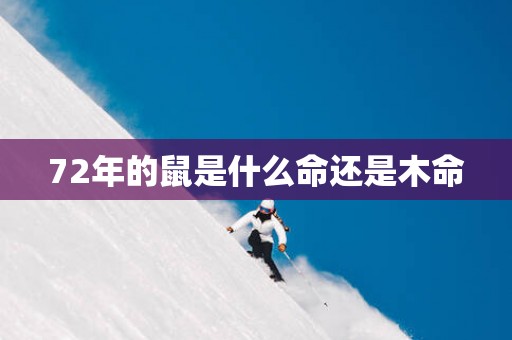 72年的鼠是什么命还是木命 72年的鼠是什么命还是木命
