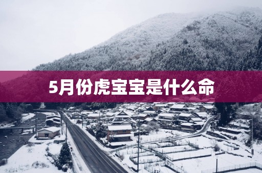 5月份虎宝宝是什么命