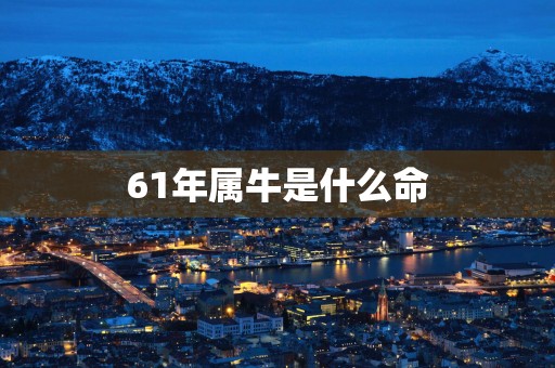61年属牛是什么命