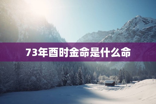 73年酉时金命是什么命