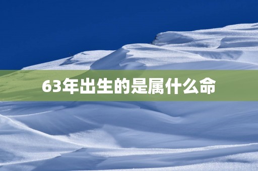 63年出生的是属什么命