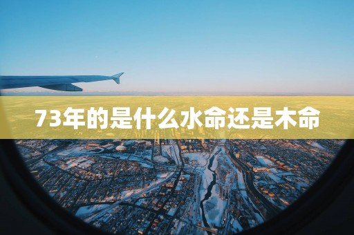 73年的是什么水命还是木命