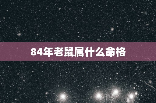84年老鼠属什么命格