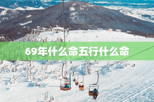 69年什么命五行什么命