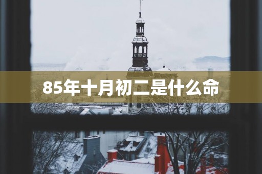 85年十月初二是什么命