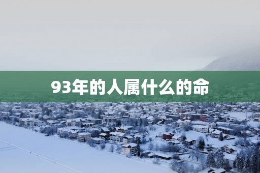 93年的人属什么的命
