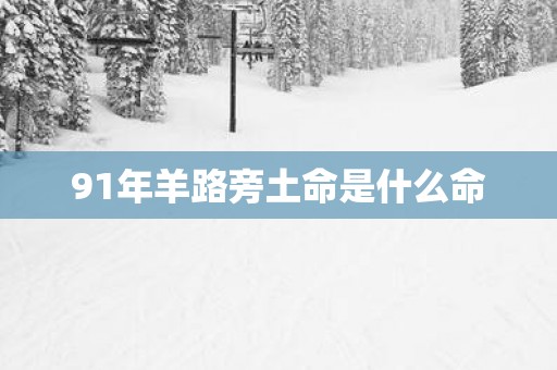 91年羊路旁土命是什么命