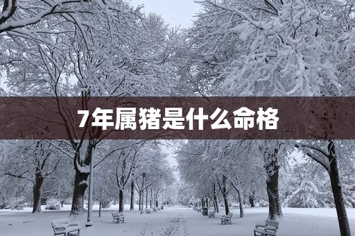 7年属猪是什么命格