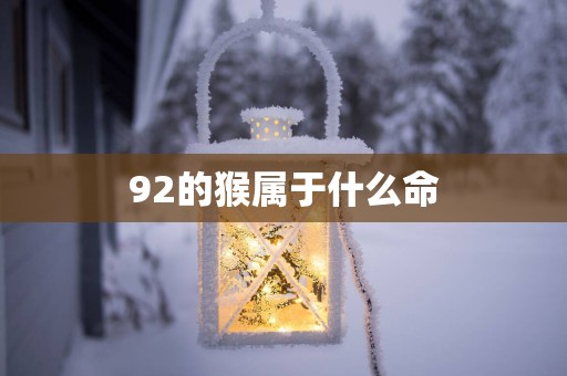 92的猴属于什么命