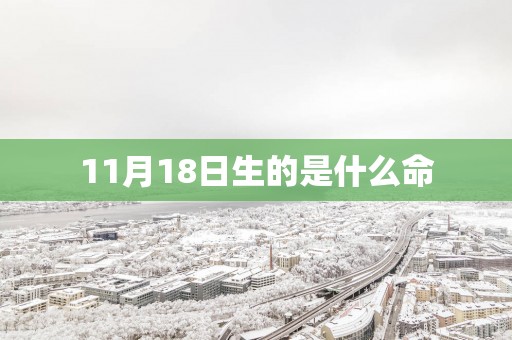 11月18日生的是什么命