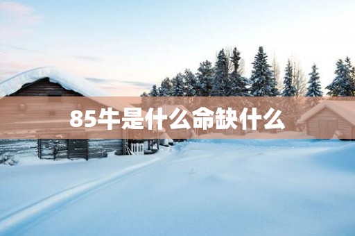 85牛是什么命缺什么