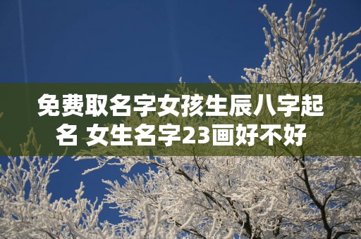 免费取名字女孩生辰八字起名 女生名字23画好不好