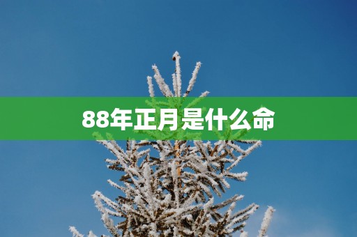 88年正月是什么命