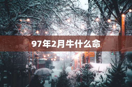 97年2月牛什么命