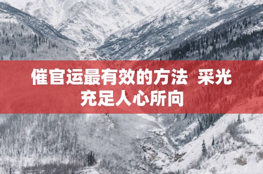 催官运最有效的方法  采光充足人心所向