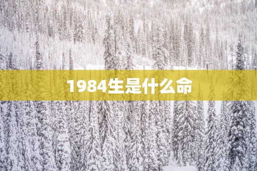 1984生是什么命
