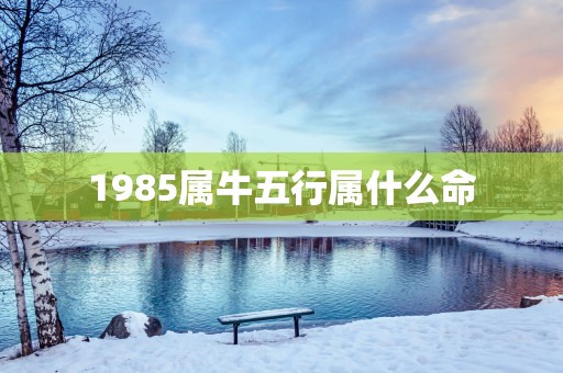 1985属牛五行属什么命