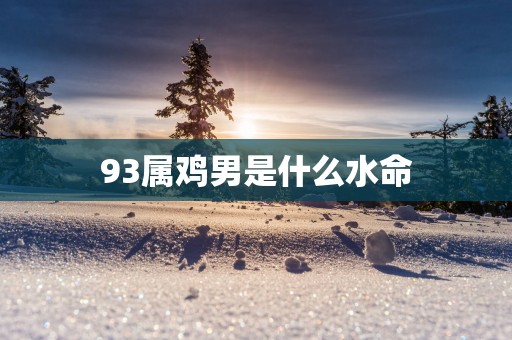 93属鸡男是什么水命
