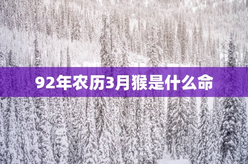 92年农历3月猴是什么命