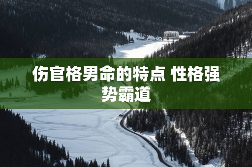 伤官格男命的特点 性格强势霸道
