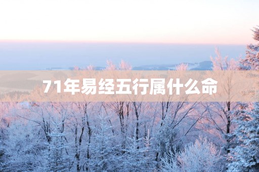 71年易经五行属什么命