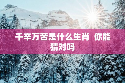 千辛万苦是什么生肖  你能猜对吗